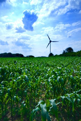 Campo de Energía Verde